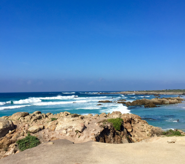 Beautiful Pebble Beach