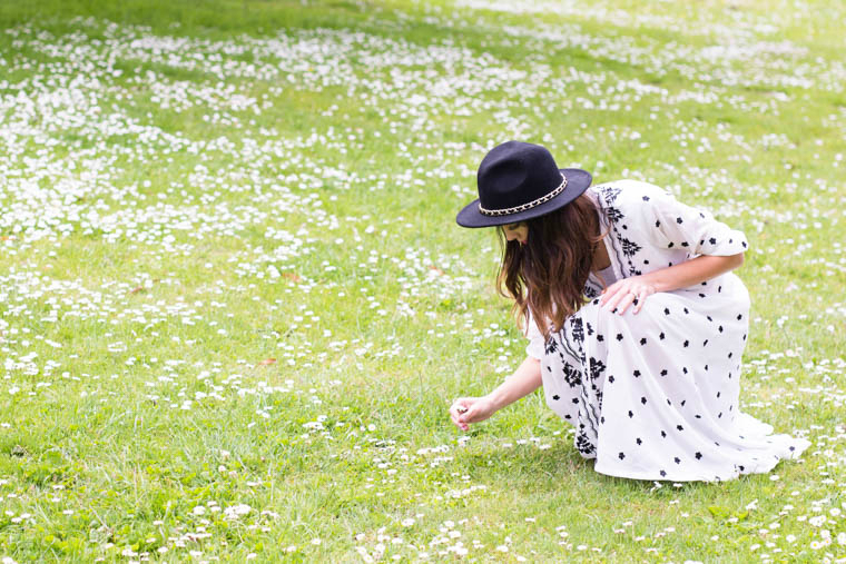 Field of daises