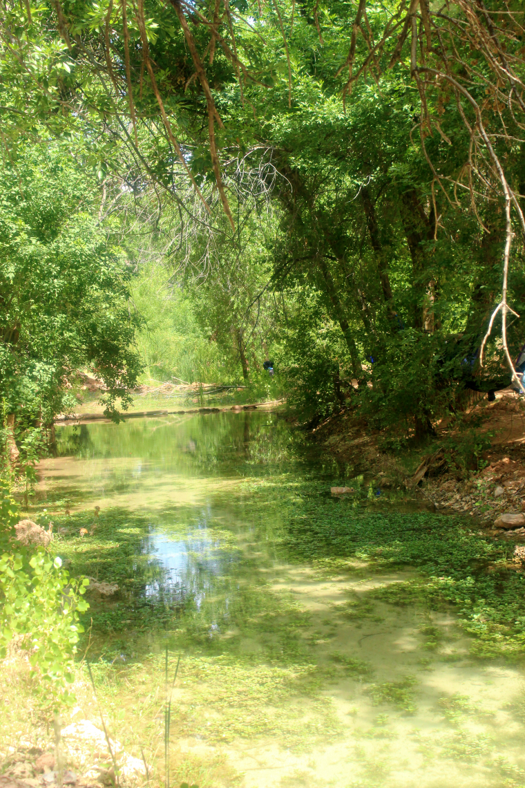 Havasupai trip by popular San Francisco blogger, The Girl in The Yellow Dress