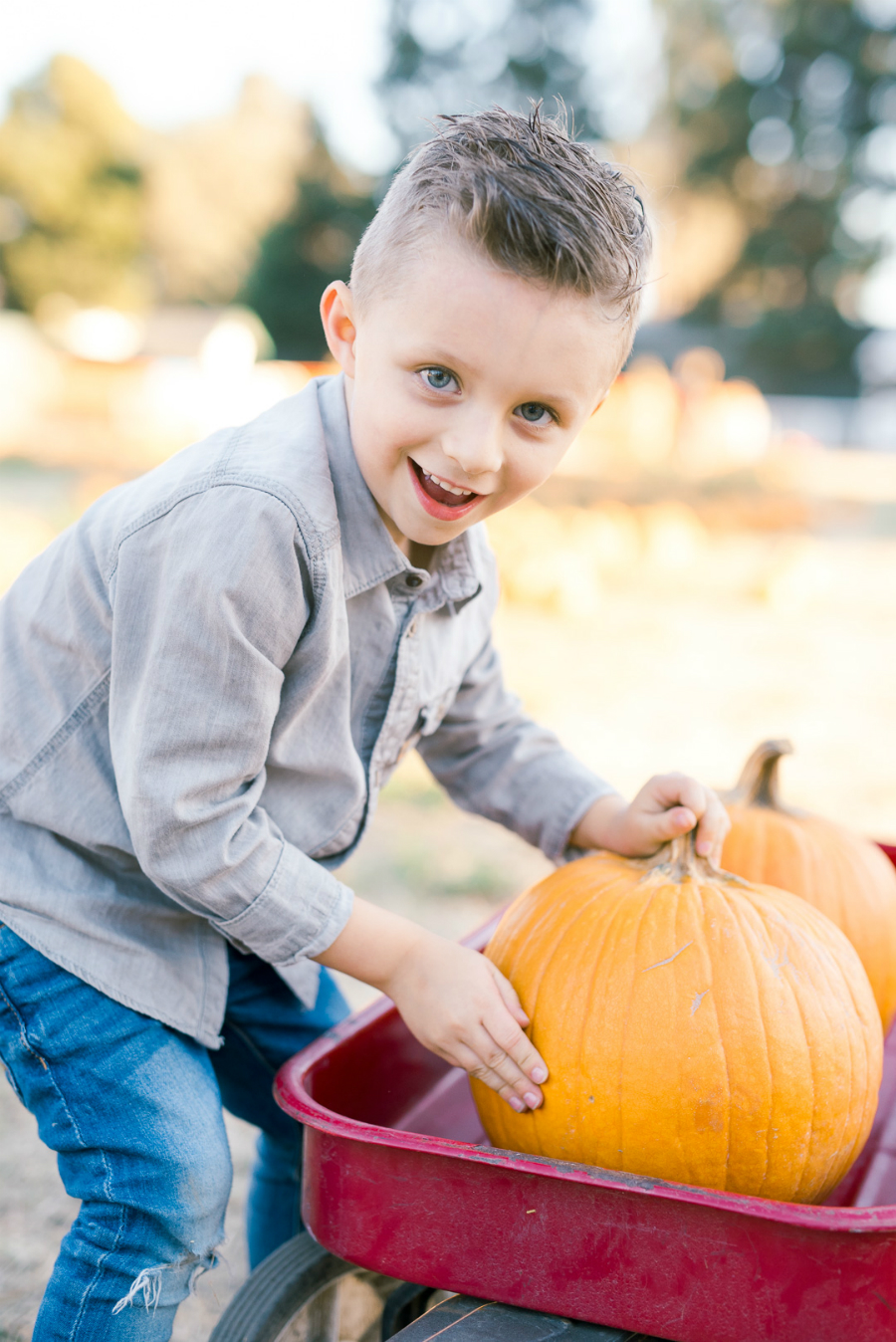 Pumpkin Patch 2015