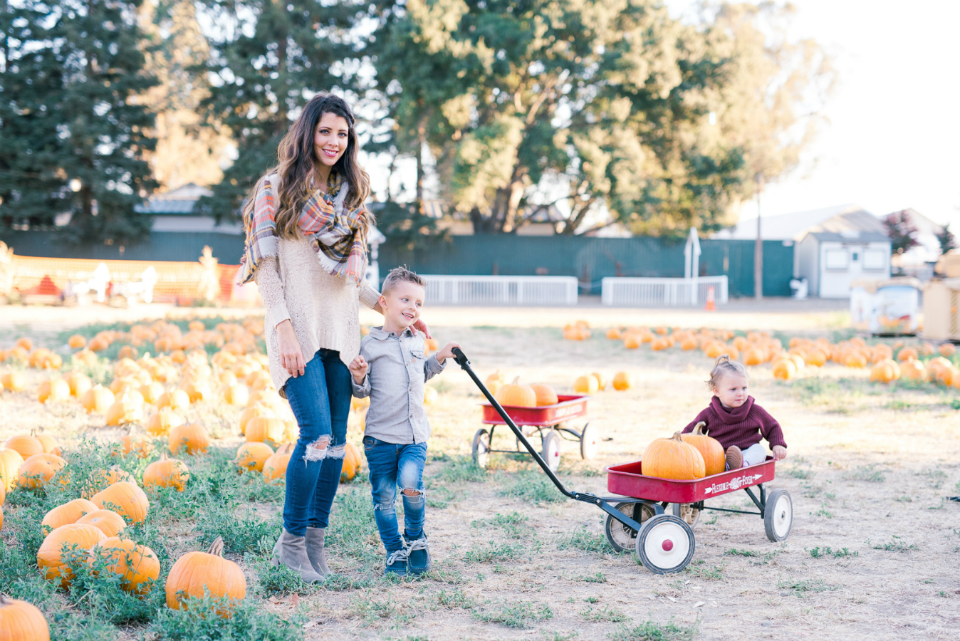 Pumpkin Patch