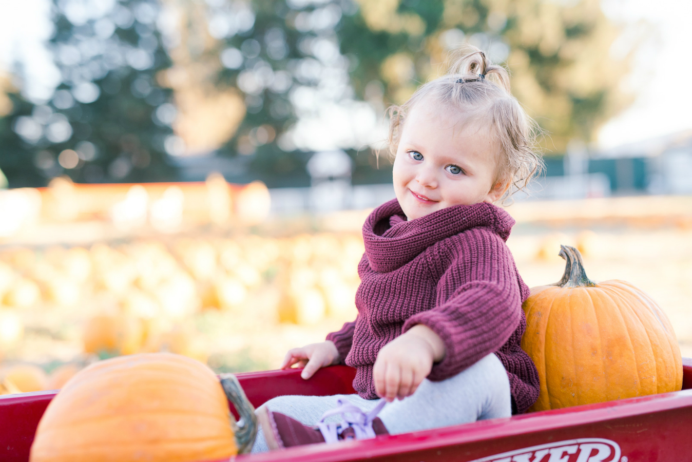 Toddler, Sweater