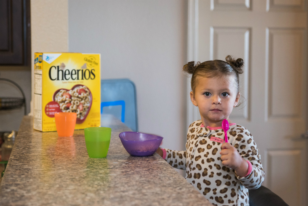 Costco Cheerios 8