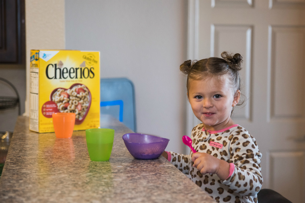 Costco Cheerios 9