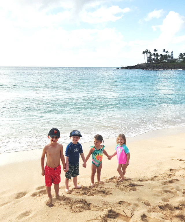 Hawaii. Family Vacation!