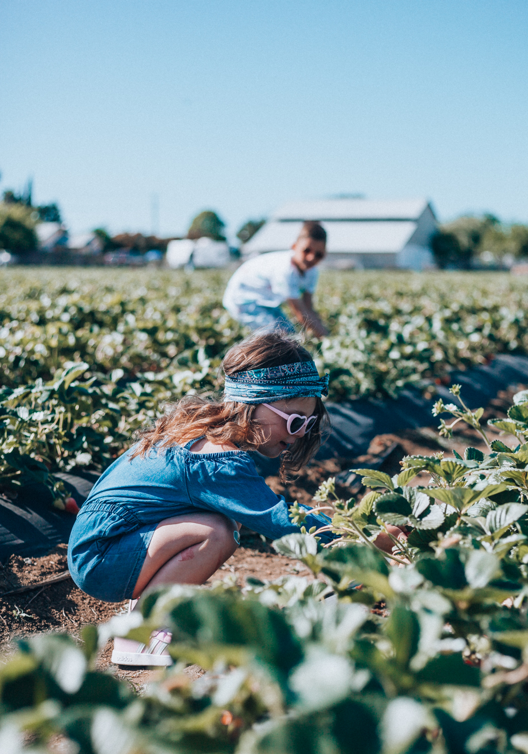 7 Super Fun Summer Activities to Do With Kids by popular San Francisco lifestyle blogger The Girl in The Yellow Dress